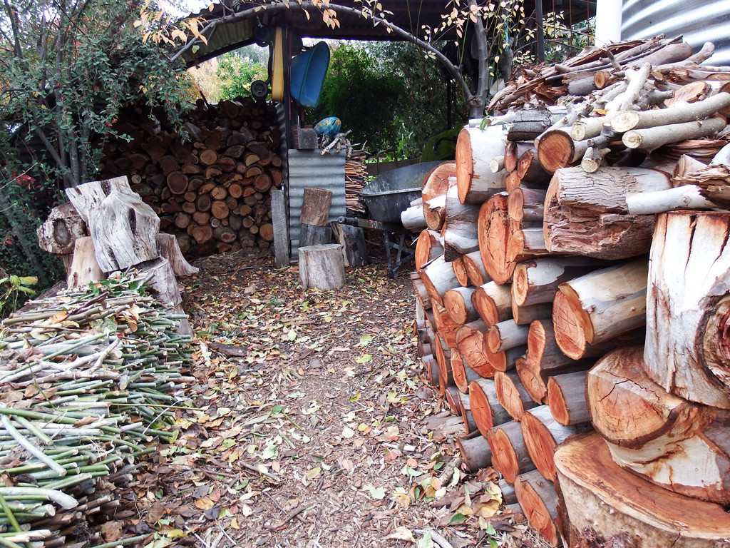 forest-logging