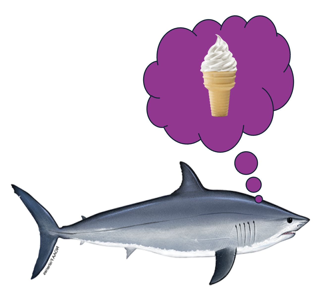 Icecream and Shark